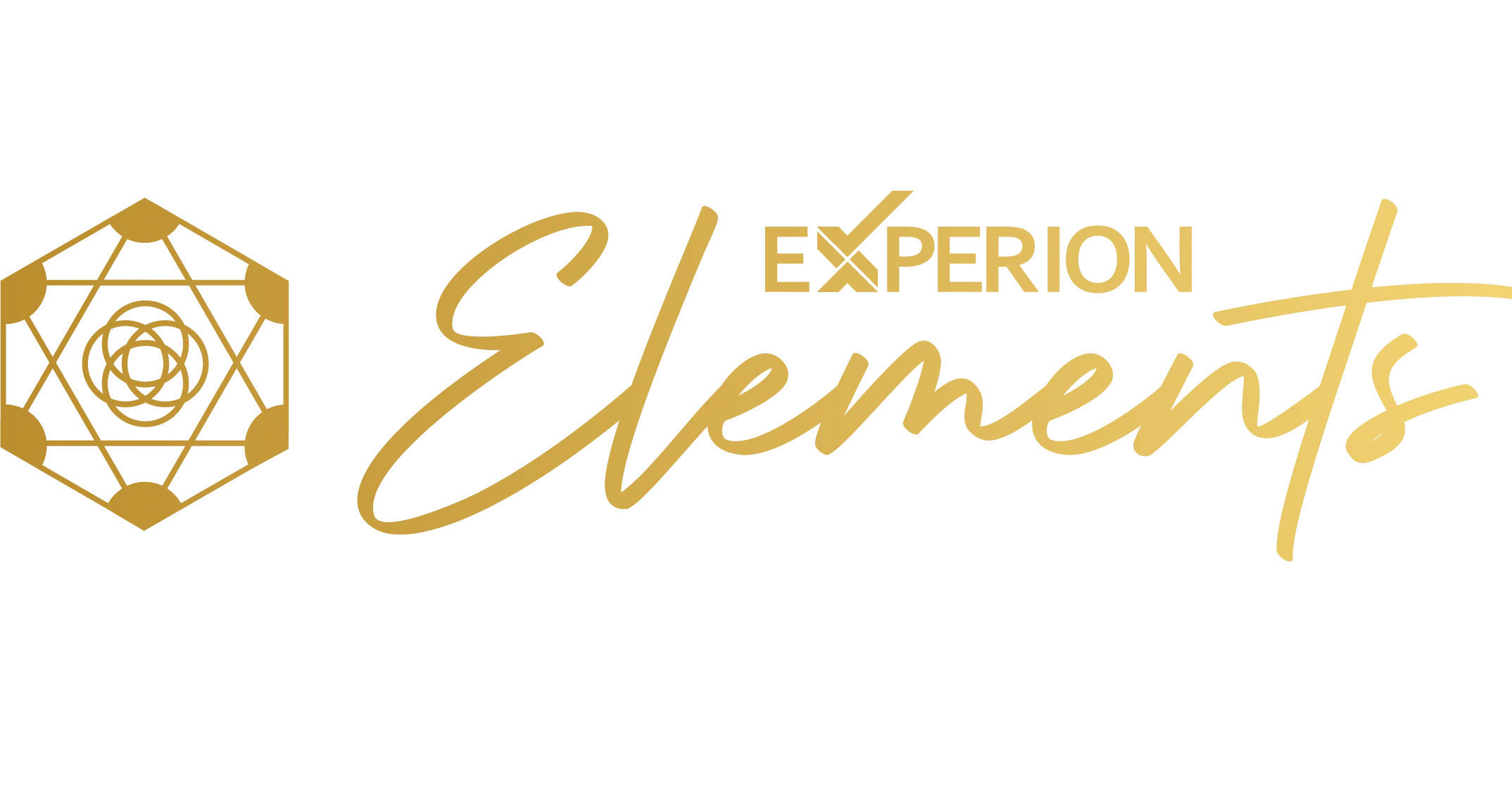 Experion Developers